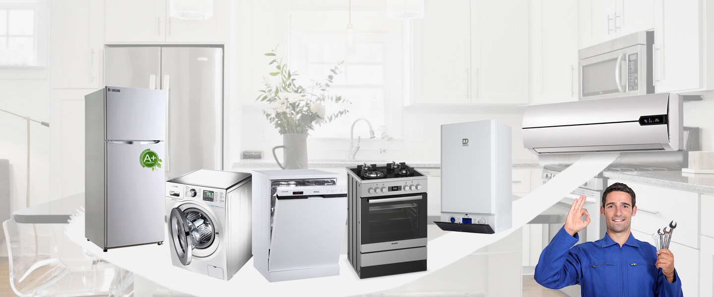 Termal Electrolux Servisi
